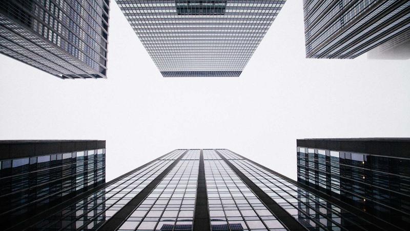 2025年jm天堂搜索趋势变化